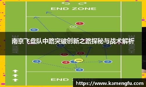 南京飞盘队中路突破创新之路探秘与战术解析